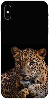 Чехол на Apple iPhone X (5.8") Leopard v4 фото 1 из 1