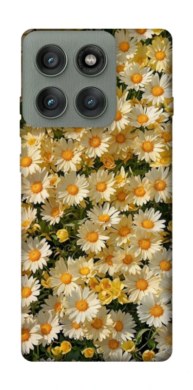 Чохол на Motorola Edge 60 Pro Camomile фото 1 з 1