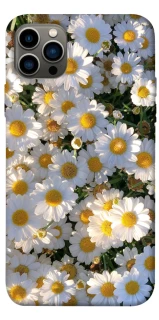 Чохол на Apple iPhone 12 Pro (6.1") Поле ромашок фото 1 з 1