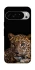 Чехол на Google Pixel 10 Pro Leopard v4 фото 1 из 1