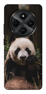 Чехол на Xiaomi Poco C75 Панда фото 1 из 1
