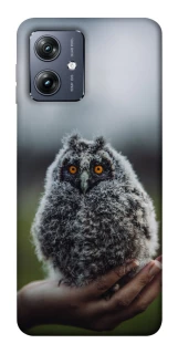 Чохол на Motorola Moto G54 Совеня фото 1 Чохол на Motorola Moto G54 Совеня фото 1 з 1
