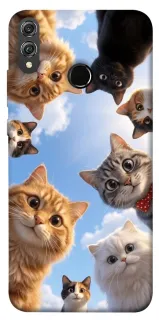 Чехол на Huawei Honor 8X Cats фото 1 из 1
