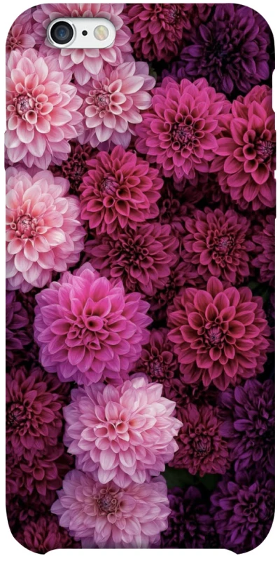 Чохол на Apple iPhone 6/6s plus (5.5") Garden1 фото 1 з 1