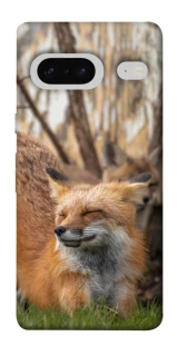Чехол на Google Pixel 7 Лиса фото 1 из 1