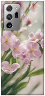 Чохол на Samsung Galaxy Note 20 Ultra Spring фото 1 з 1