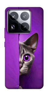 Чохол на Xiaomi 15 Pro Кіт-підглядач фото 1 з 1