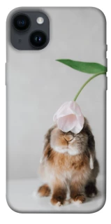 Чохол на Apple iPhone 14 Plus (6.7") Bunny фото 1 з 1