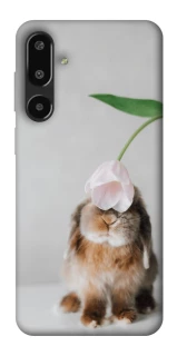 Чохол на Samsung Galaxy F16 Bunny фото 1 з 1