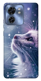 Чехол на Motorola Edge 40 Snow cat фото 1 из 1