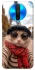Чохол на Xiaomi Poco X2 catparis фото 1 з 1