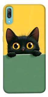 Чехол на Huawei Y6 Pro (2019) Black cat v2 фото 1 из 1
