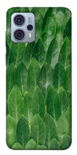 Чохол на Motorola Moto G23 Листя фото 1 Чохол на Motorola Moto G23 Листя фото 1 з 1
