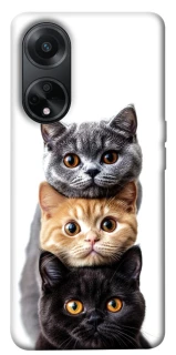 Чехол на Oppo A58 4G Красивые котики фото 1 из 1