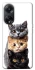 Чехол на Oppo A58 4G Красивые котики фото 1 из 1