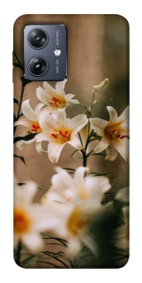 Чохол на Motorola Moto G54 Лілії фото 1 Чохол на Motorola Moto G54 Лілії фото 1 з 1