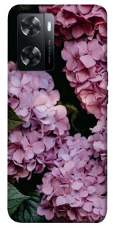 Чехол на Oppo A77s Розовые гартензии фото 1 из 1