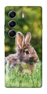 Чехол на Tecno Camon 40 Кролики фото 1 из 1