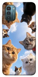 Чехол на Nokia G21 Cats фото 1 из 1