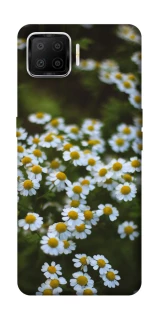 Чохол на Oppo A73 (2017) Ромашки v13 фото 1 з 1