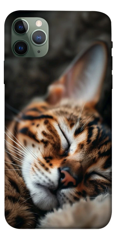 Чохол на Apple iPhone 11 Pro Max (6.5") Cat paws фото 1 з 1