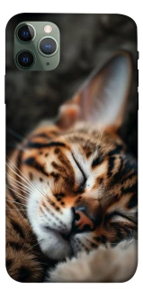 Чехол на Apple iPhone 11 Pro Max (6.5") Cat paws фото 1 из 1