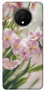 Чехол на OnePlus 7T Spring фото 1 из 1