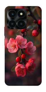 Чохол на Huawei Honor X6a Flowers v28 фото 1 з 1