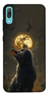 Чехол на Huawei Y6 Pro (2019) Кот под луной v2 фото 1 из 1