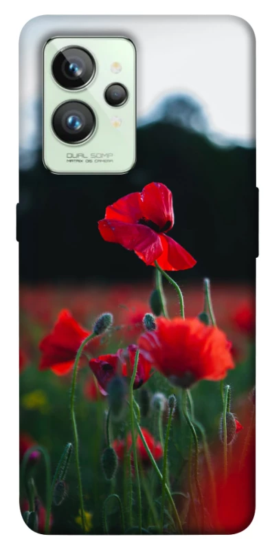 Чехол на Realme GT2 Мак фото 1 из 1