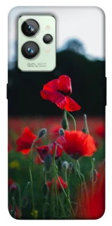 Чохол на Realme GT2 Мак фото 1 з 1