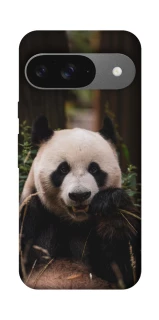 Чехол на Google Pixel 10 Панда фото 1 из 1