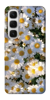 Чехол на Infinix Hot 60i Поле ромашек фото 1 из 1