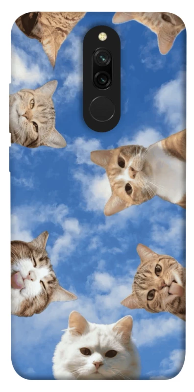 Чохол на Xiaomi Redmi 8 Сats фото 1 з 1