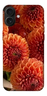 Чохол на Apple iPhone 16 Plus Flower1 фото 1 з 1