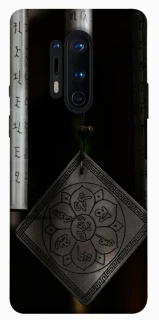 Чехол на OnePlus 8 Pro Талисман удачи фото 1 из 1