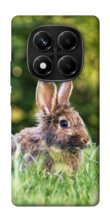Чехол на Xiaomi Redmi Note 14 Pro 4G Кролики фото 1 из 1