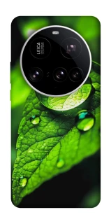 Чохол на Xiaomi 15 Ultra Flowers v16 фото 1 з 1