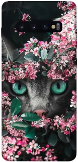 Чехол на Samsung Galaxy S10+ Кот в цветах фото 1 из 1