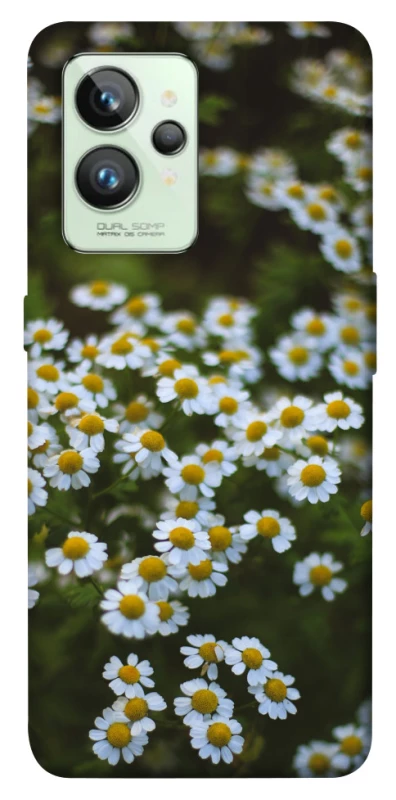 Чохол на Realme GT2 Ромашки v13 фото 1 з 1