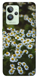 Чохол на Realme GT2 Ромашки v13 фото 1 з 1