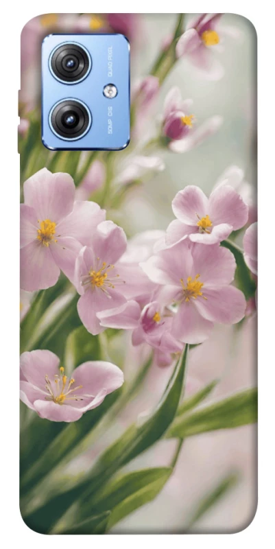 Чохол на Motorola Moto G84 Spring фото 1 з 1