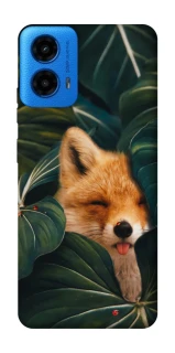 Чехол на Motorola Moto G45 Fox фото 1 из 1
