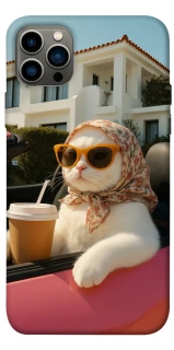 Чохол на Apple iPhone 12 Pro (6.1") Stylish Cat Cruise фото 1 з 1