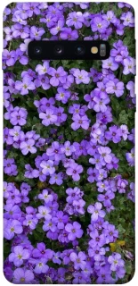 Чохол на Samsung Galaxy S10 Flowers v17 фото 1 з 1