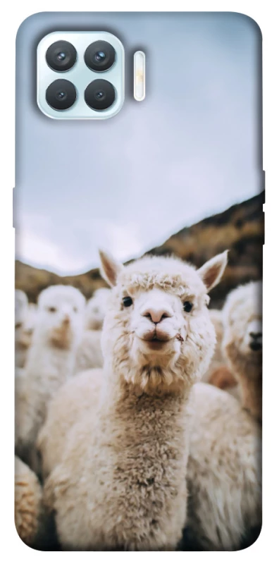 Чохол на Oppo F17 Pro Лама фото 1 з 1