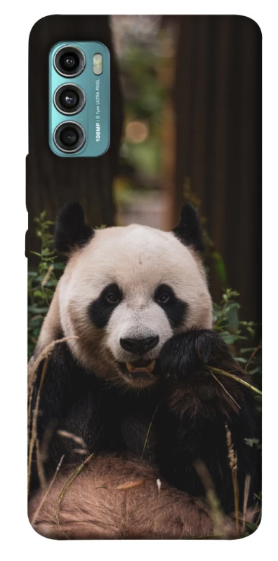 Чехол на Motorola Moto G60 Панда фото 1 из 1
