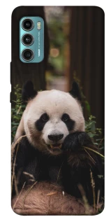 Чехол на Motorola Moto G60 Панда фото 1 из 1