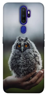 Чехол на Oppo A5 (2020) / Oppo A9 (2020) Совёнок фото 1 из 1