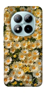 Чохол на Xiaomi Redmi Note 15 Pro+ 5G Camomile фото 1 з 1
